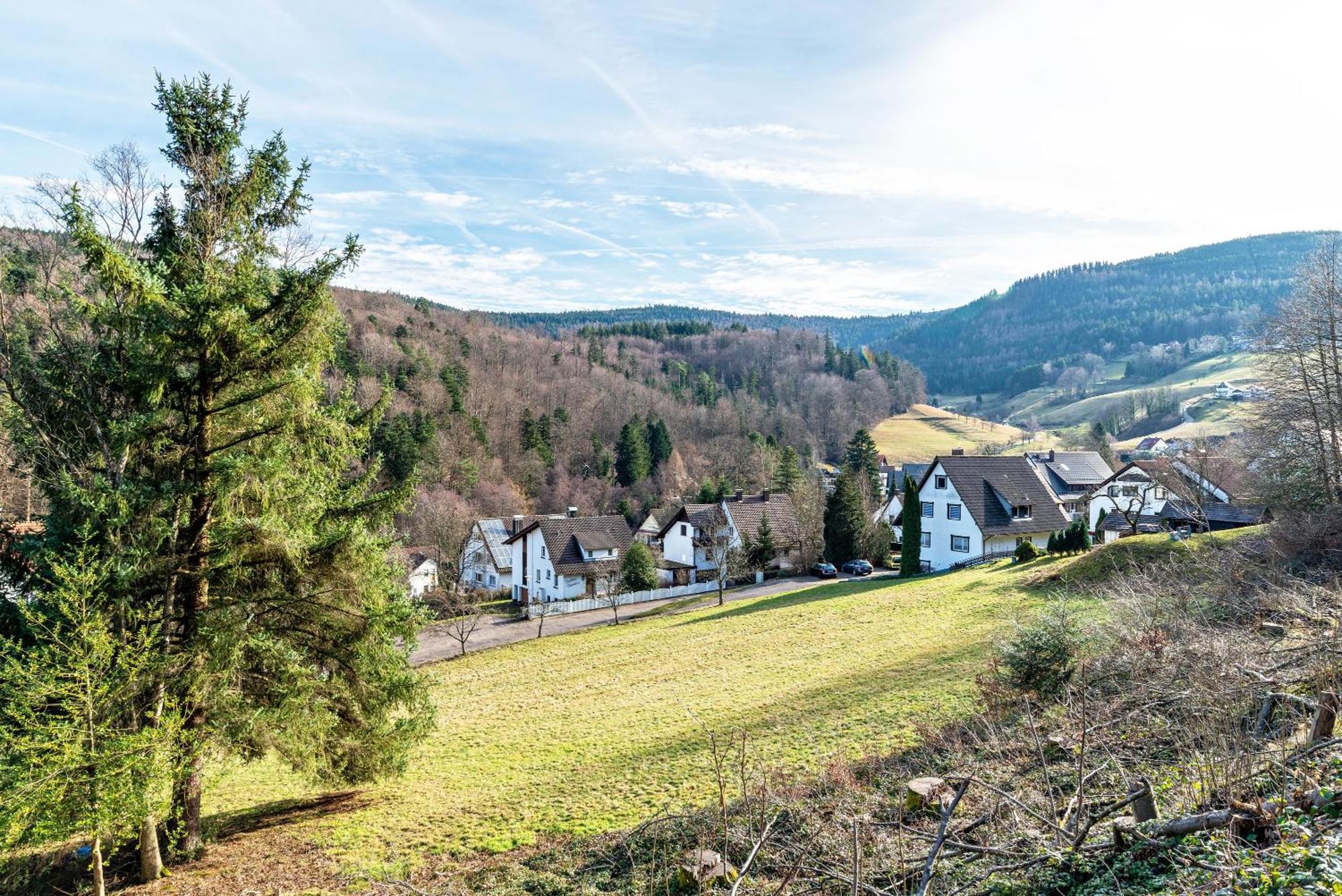 Ferienwohnung Schumacher Бад-Герренальб Екстер'єр фото